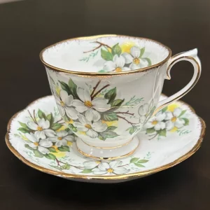 royal albert bone china teacup and saucer set