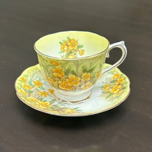 royal albert bone china teacup and saucer set