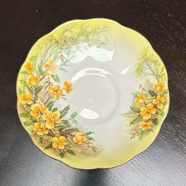 00085 Royal Albert Bone China Teacup Set Partridge Pea - Image 7