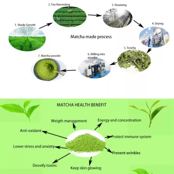 Guicha EU-Standard Pure Matcha  "Myo Midori Fresh Green” – 58g Premium Japanese-Style Matcha from Guizhou, China - Image 3
